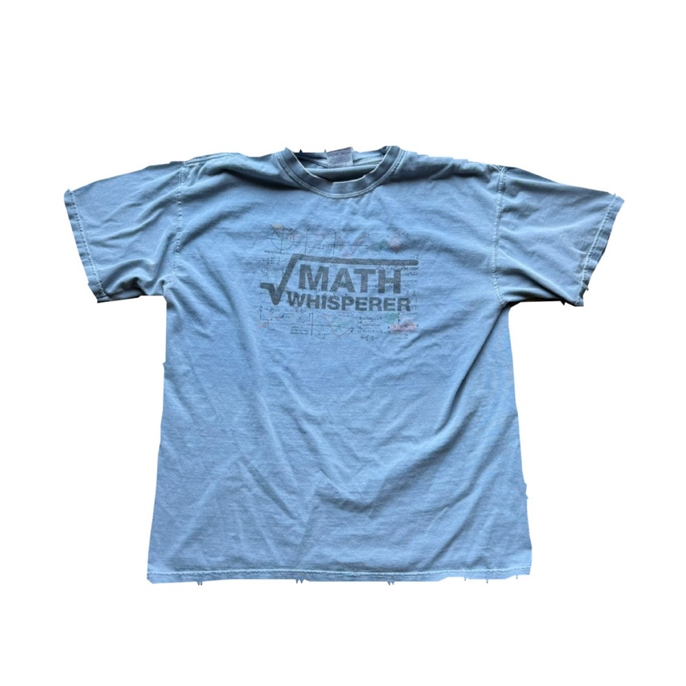Math Whisperer Light Blue Graphic Tee